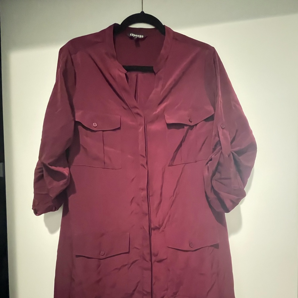 Express Burgundy Dress